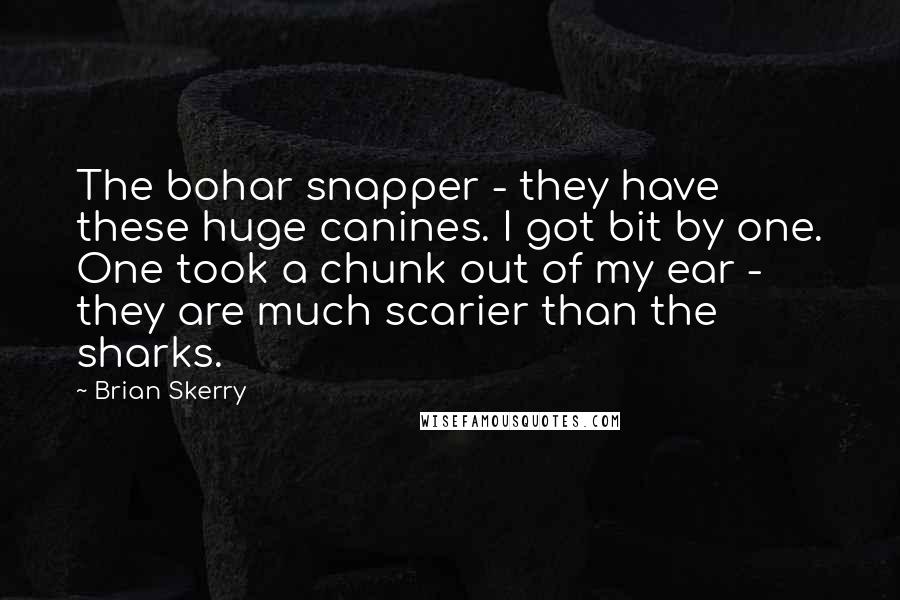 Brian Skerry quotes: The bohar snapper - they have these huge canines. I got bit by one. One took a chunk out of my ear - they are much scarier than the sharks.