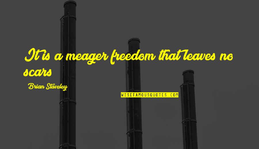 Brian Staveley Quotes By Brian Staveley: It is a meager freedom that leaves no