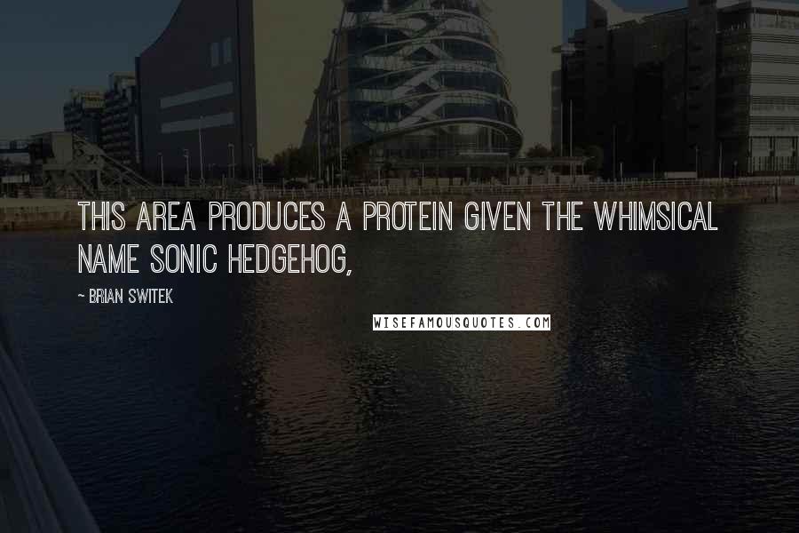 Brian Switek quotes: This area produces a protein given the whimsical name Sonic Hedgehog,