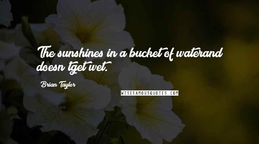 Brian Taylor quotes: The sunshines in a bucket of waterand doesn'tget wet.
