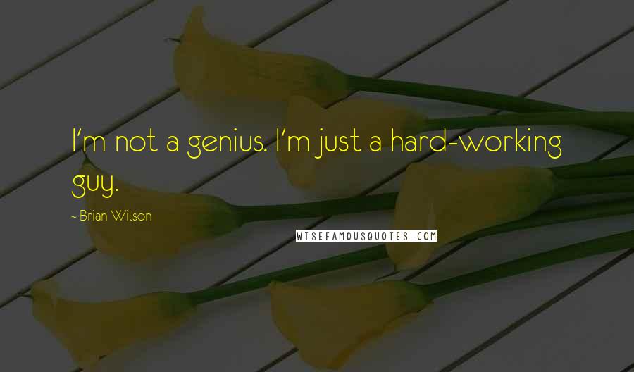 Brian Wilson quotes: I'm not a genius. I'm just a hard-working guy.