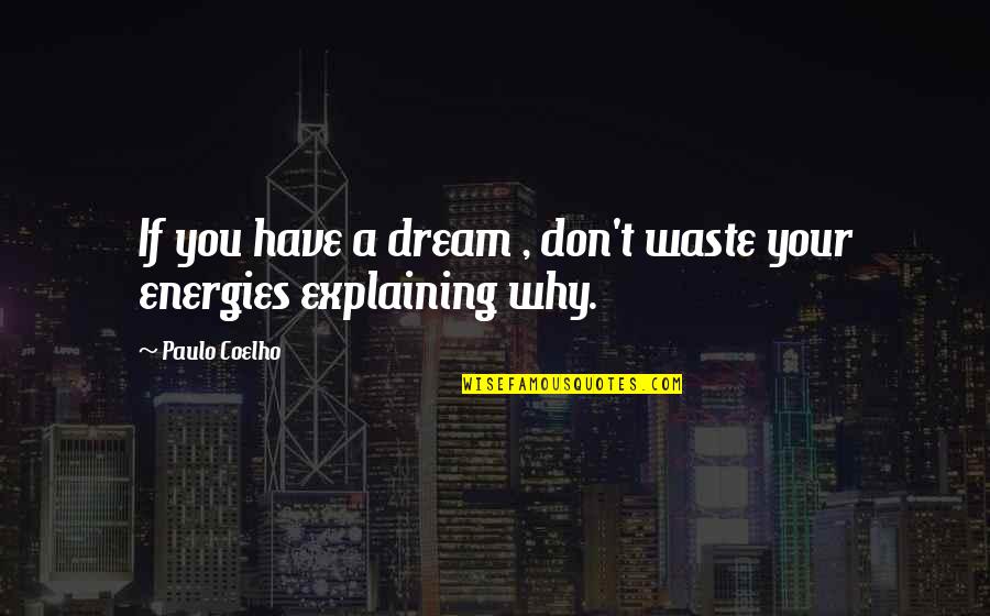 Brian Zahnd Quotes By Paulo Coelho: If you have a dream , don't waste