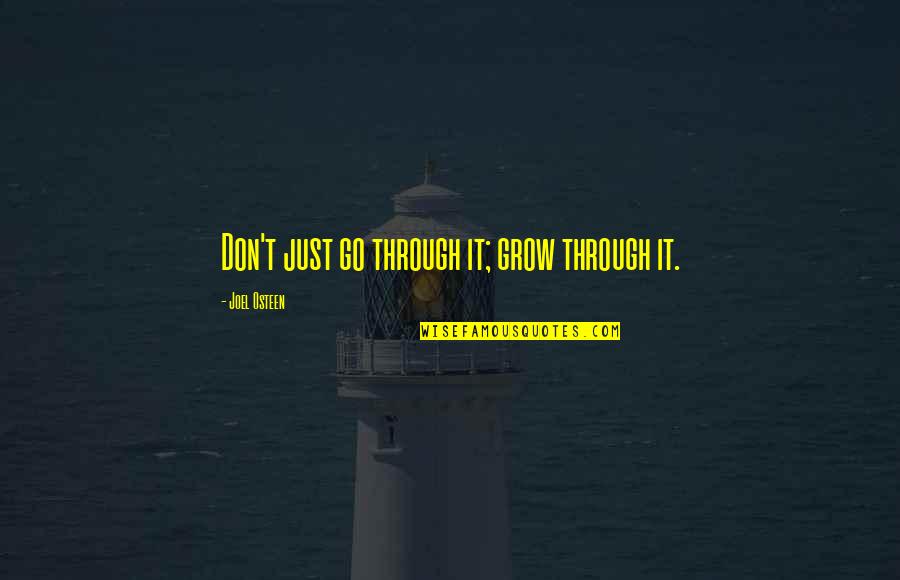 Brick And Mortar Quotes By Joel Osteen: Don't just go through it; grow through it.