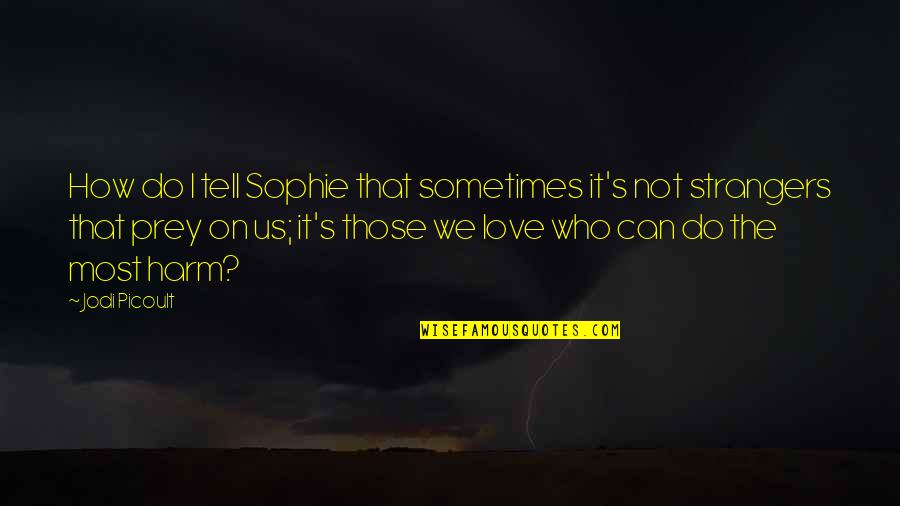 Brick Breeland Quotes By Jodi Picoult: How do I tell Sophie that sometimes it's