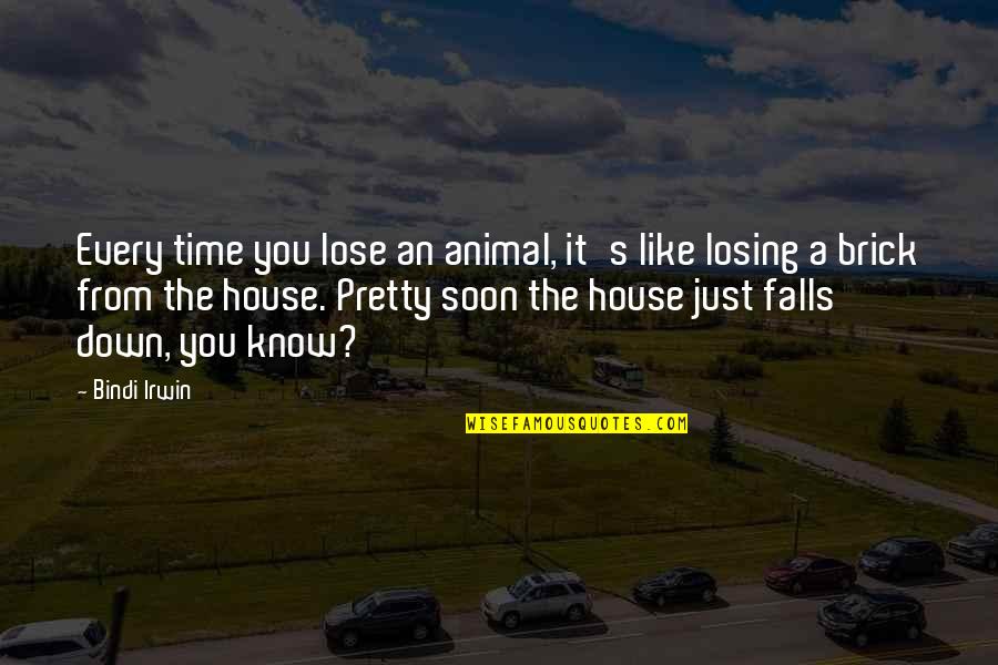 Brick Quotes By Bindi Irwin: Every time you lose an animal, it's like