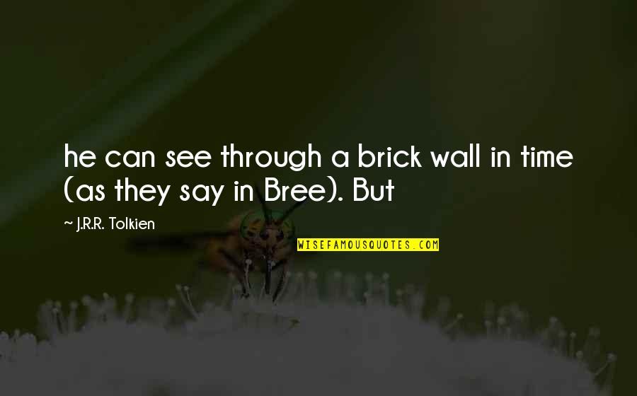 Brick Quotes By J.R.R. Tolkien: he can see through a brick wall in