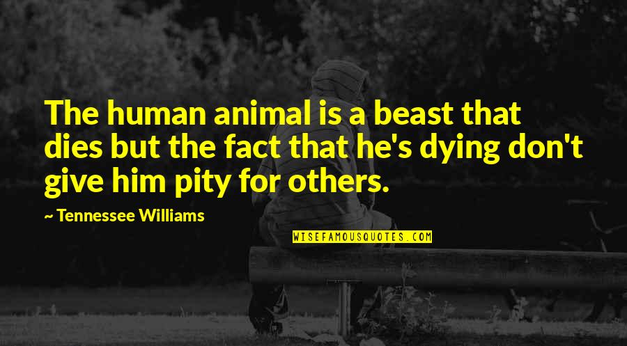 Brick Tamland Movie Quotes By Tennessee Williams: The human animal is a beast that dies