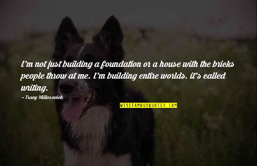 Bricks And Love Quotes By Tracy Millosovich: I'm not just building a foundation or a