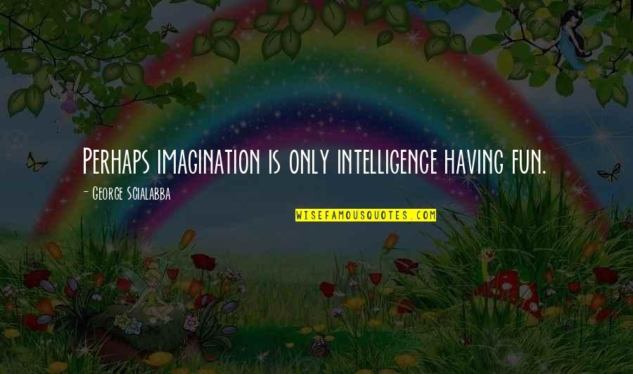 Bride Of New France Quotes By George Scialabba: Perhaps imagination is only intelligence having fun.