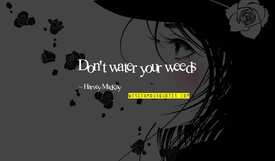 Bride Wars Love Quotes By Harvey MacKay: Don't water your weeds