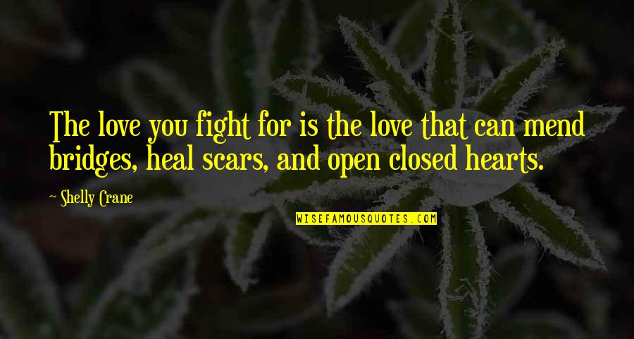 Bridges Of Love Quotes By Shelly Crane: The love you fight for is the love