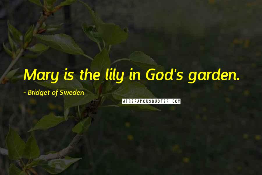 Bridget Of Sweden quotes: Mary is the lily in God's garden.