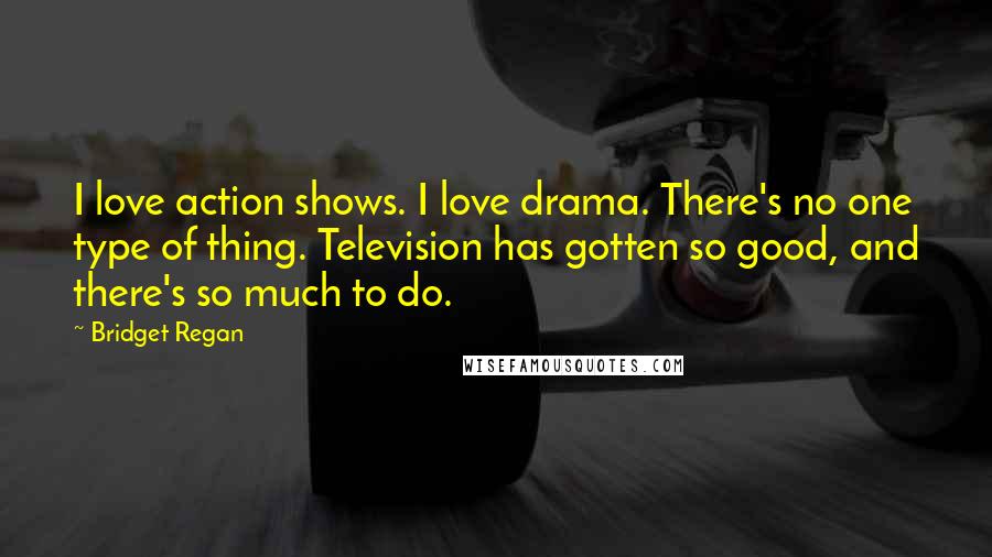 Bridget Regan quotes: I love action shows. I love drama. There's no one type of thing. Television has gotten so good, and there's so much to do.