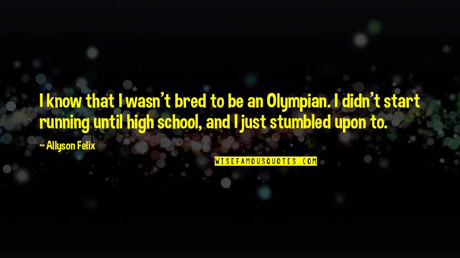 Bridging Differences Quotes By Allyson Felix: I know that I wasn't bred to be