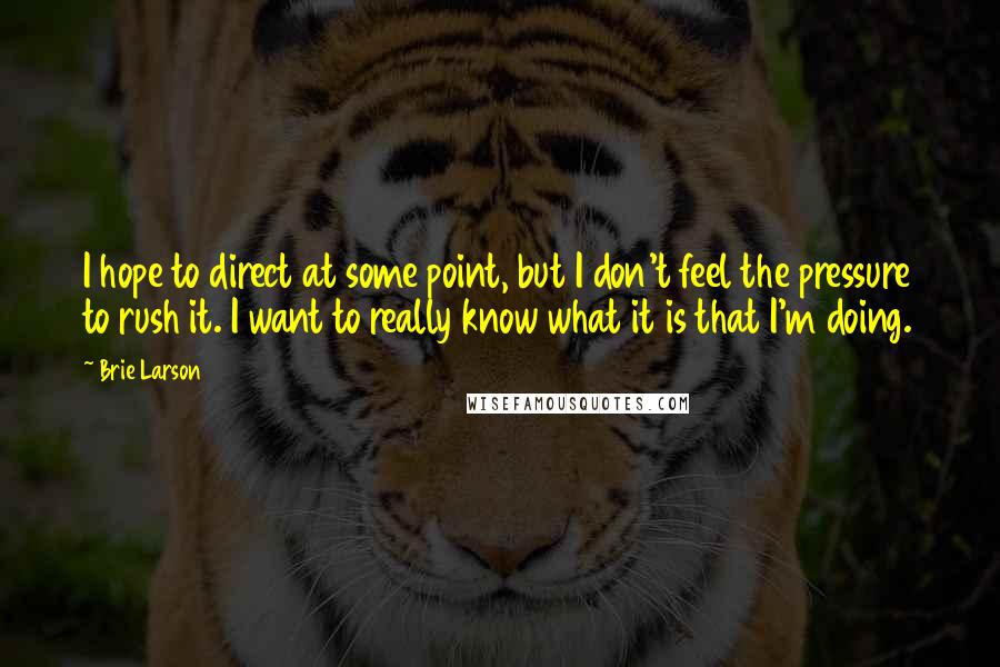 Brie Larson quotes: I hope to direct at some point, but I don't feel the pressure to rush it. I want to really know what it is that I'm doing.