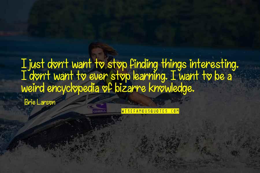Brie Larson Quotes By Brie Larson: I just don't want to stop finding things Brie Larson Quotes By Brie Larson: I just don't want to stop finding things