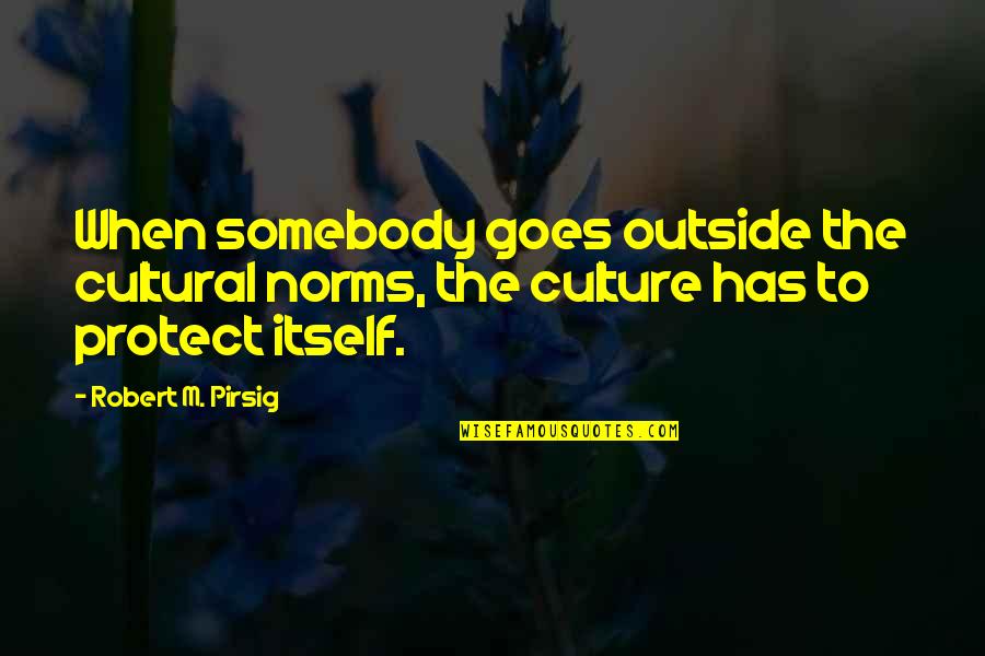 Briedis Vs Dorticos Quotes By Robert M. Pirsig: When somebody goes outside the cultural norms, the