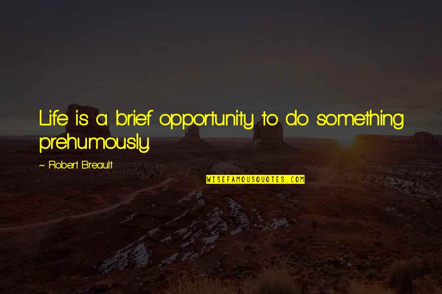 Brief Life Quotes By Robert Breault: Life is a brief opportunity to do something