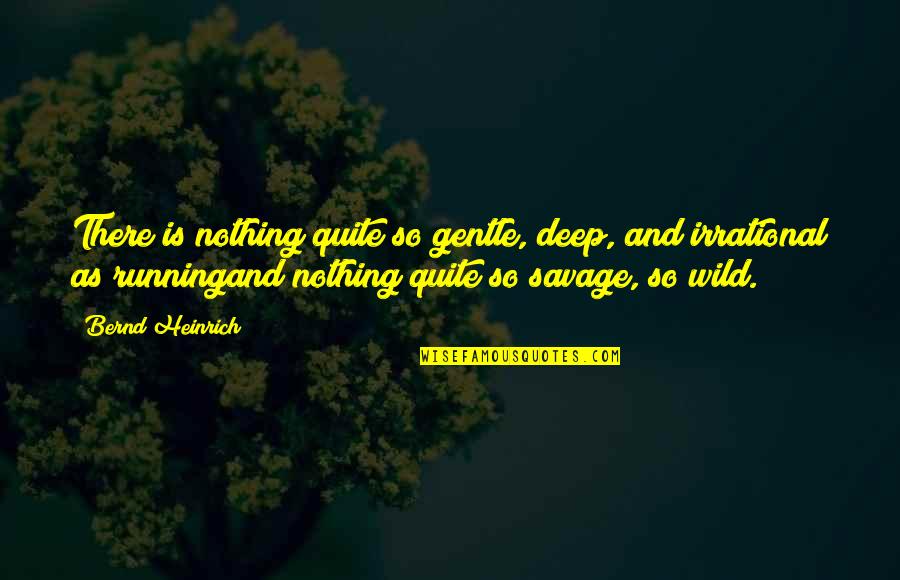 Brierre Plane Quotes By Bernd Heinrich: There is nothing quite so gentle, deep, and Brierre Plane Quotes By Bernd Heinrich: There is nothing quite so gentle, deep, and