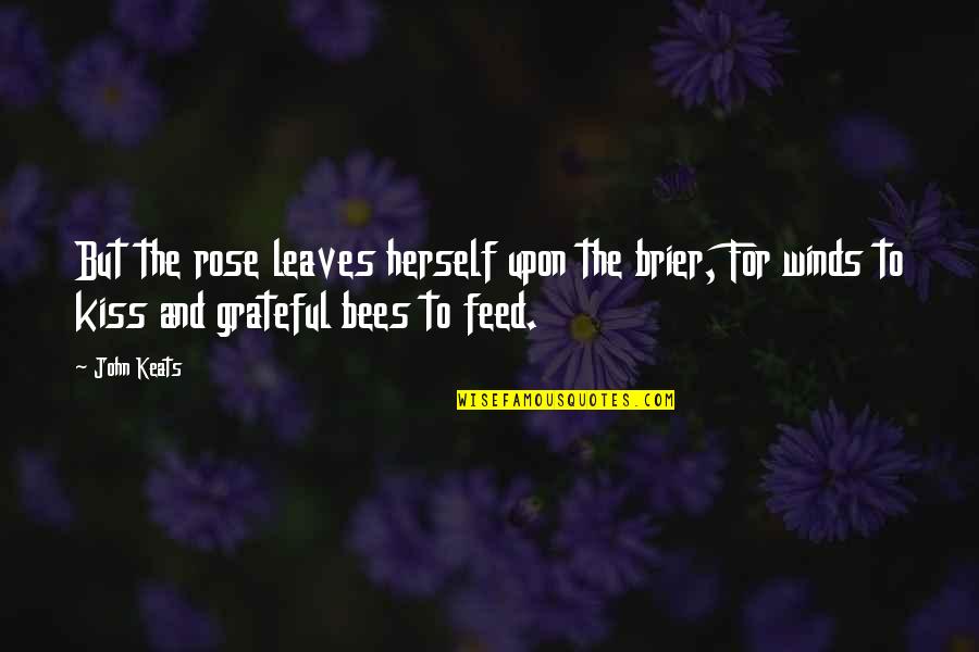 Brier's Quotes By John Keats: But the rose leaves herself upon the brier, Brier's Quotes By John Keats: But the rose leaves herself upon the brier,