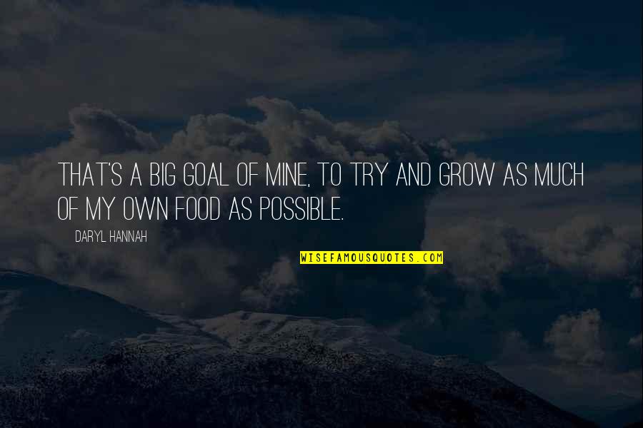 Brietzkes General Store Quotes By Daryl Hannah: That's a big goal of mine, to try