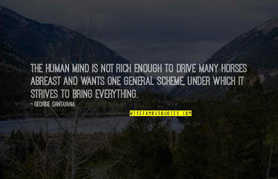 Brigades Quotes By George Santayana: The human mind is not rich enough to
