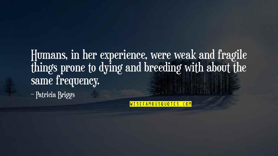 Briggs's Quotes By Patricia Briggs: Humans, in her experience, were weak and fragile Briggs's Quotes By Patricia Briggs: Humans, in her experience, were weak and fragile