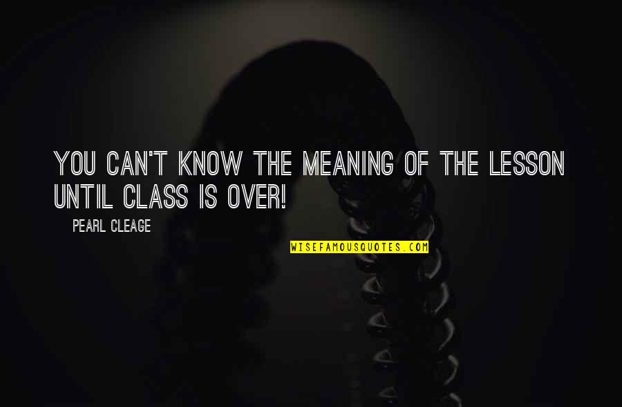 Briggsstrationmotors Quotes By Pearl Cleage: You can't know the meaning of the lesson