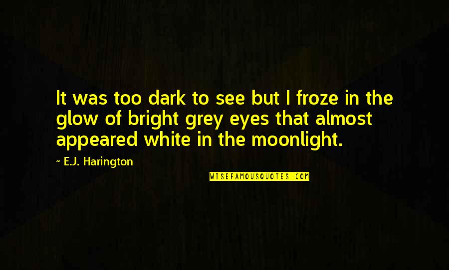 Bright And Dark Quotes By E.J. Harington: It was too dark to see but I