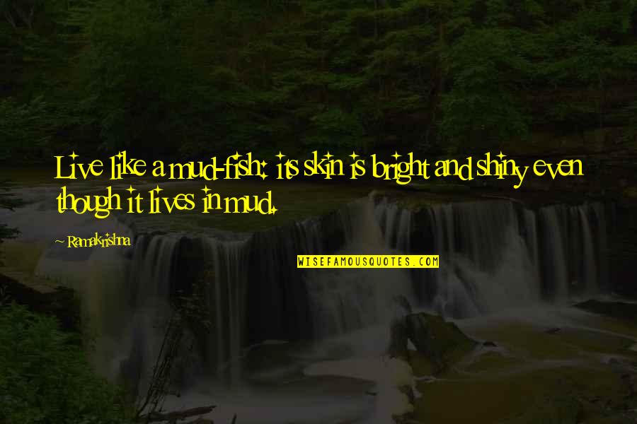 Bright And Shiny Quotes By Ramakrishna: Live like a mud-fish: its skin is bright