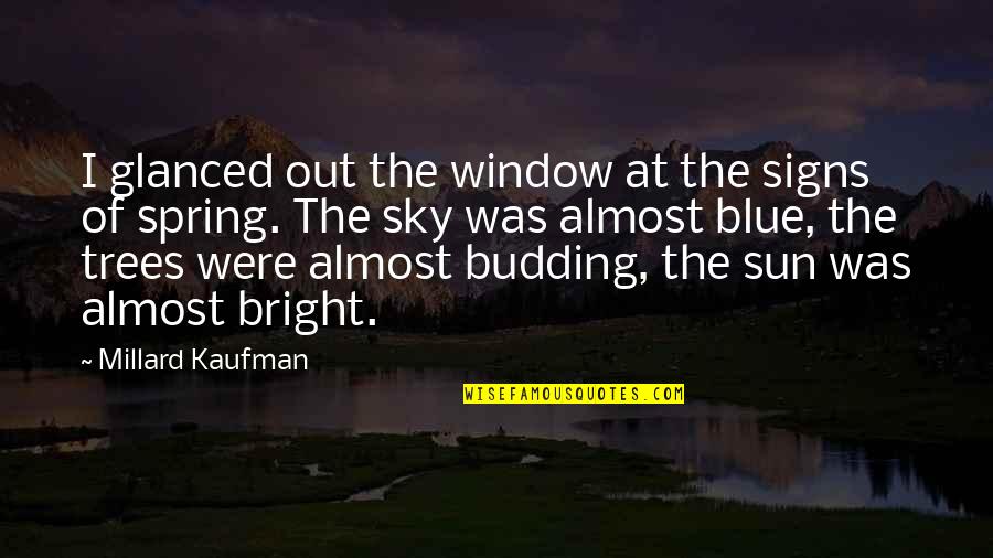 Bright Blue Sky Quotes By Millard Kaufman: I glanced out the window at the signs