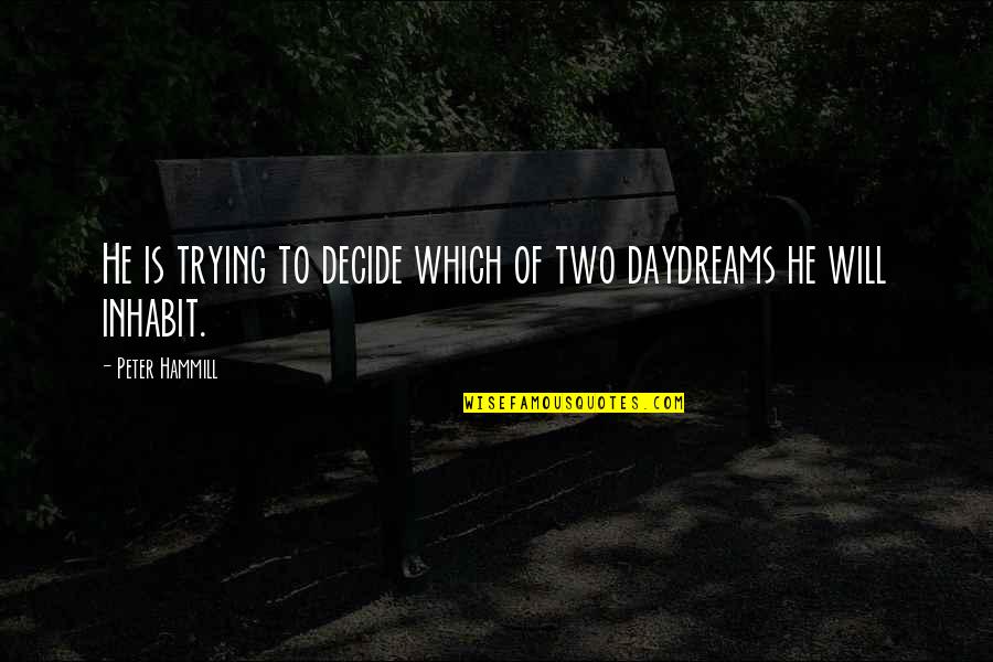 Bright Colorful Quotes By Peter Hammill: He is trying to decide which of two