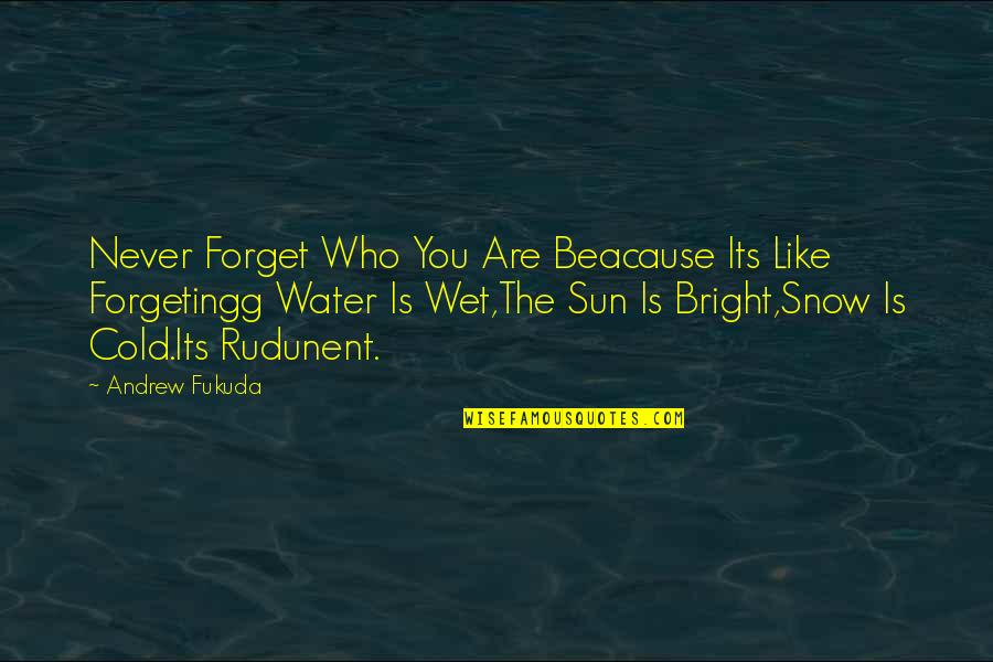 Bright Like The Sun Quotes By Andrew Fukuda: Never Forget Who You Are Beacause Its Like