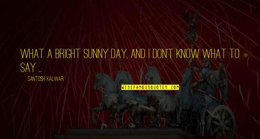 Bright Sunny Day Quotes By Santosh Kalwar: What a bright sunny day, and I don't