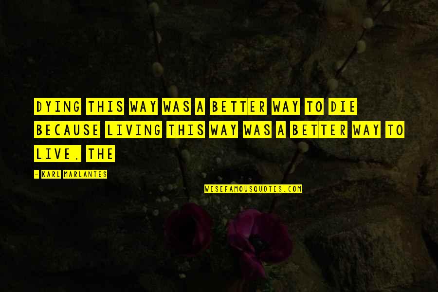 Brighter Days Are Coming Quotes By Karl Marlantes: Dying this way was a better way to