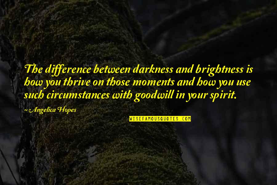 Brightness Of Light Quotes By Angelica Hopes: The difference between darkness and brightness is how