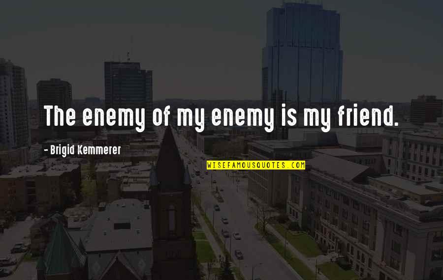 Brigid Quotes By Brigid Kemmerer: The enemy of my enemy is my friend.
