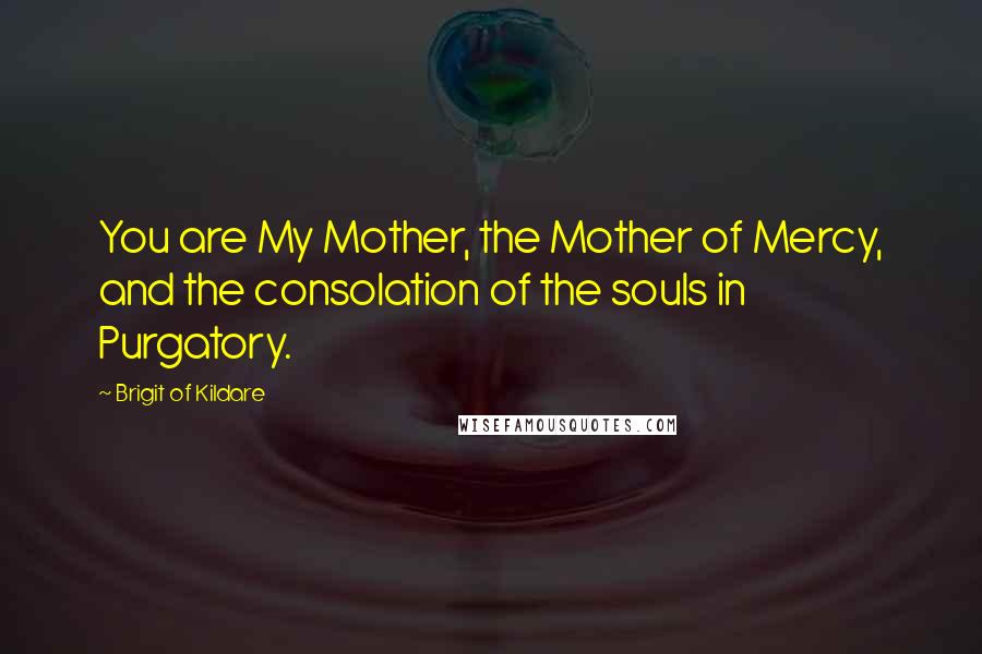 Brigit Of Kildare quotes: You are My Mother, the Mother of Mercy, and the consolation of the souls in Purgatory.