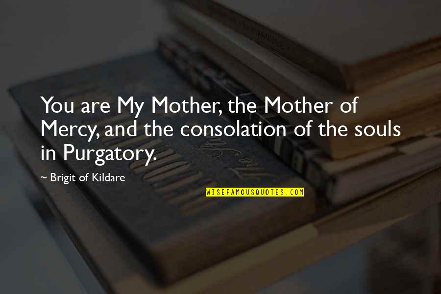 Brigit Quotes By Brigit Of Kildare: You are My Mother, the Mother of Mercy,