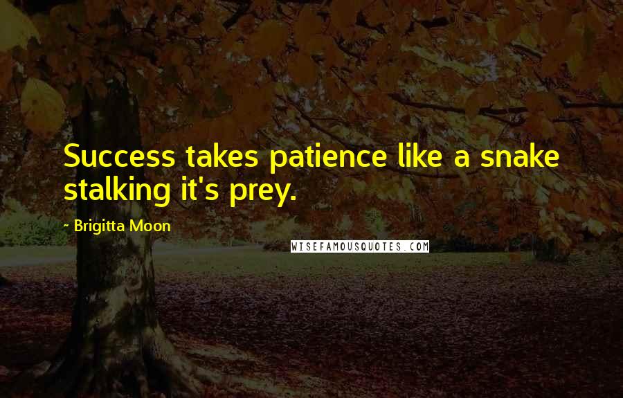 Brigitta Moon quotes: Success takes patience like a snake stalking it's prey.