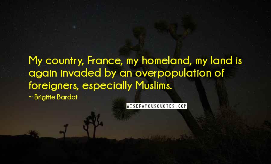 Brigitte Bardot quotes: My country, France, my homeland, my land is again invaded by an overpopulation of foreigners, especially Muslims.