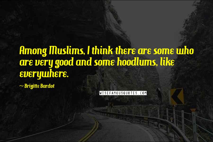 Brigitte Bardot quotes: Among Muslims, I think there are some who are very good and some hoodlums, like everywhere.