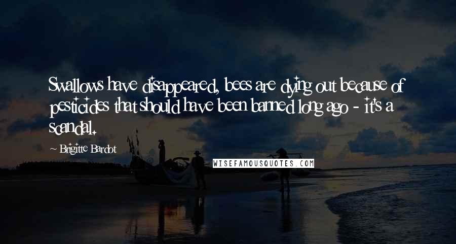 Brigitte Bardot quotes: Swallows have disappeared, bees are dying out because of pesticides that should have been banned long ago - it's a scandal.