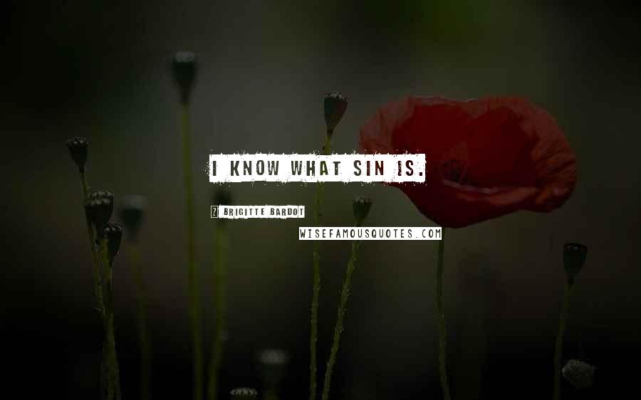 Brigitte Bardot quotes: I know what sin is.