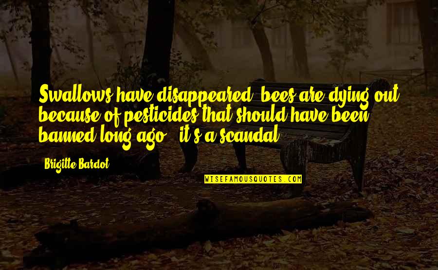 Brigitte Bardot Quotes By Brigitte Bardot: Swallows have disappeared, bees are dying out because Brigitte Bardot Quotes By Brigitte Bardot: Swallows have disappeared, bees are dying out because