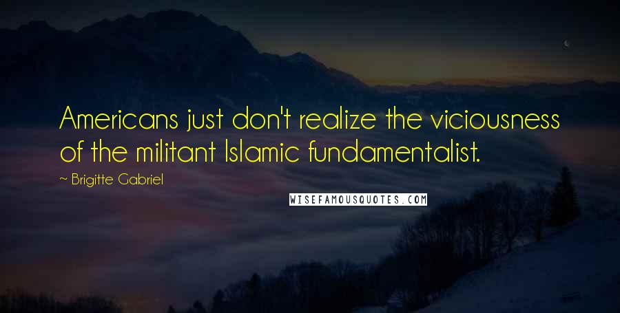 Brigitte Gabriel quotes: Americans just don't realize the viciousness of the militant Islamic fundamentalist.