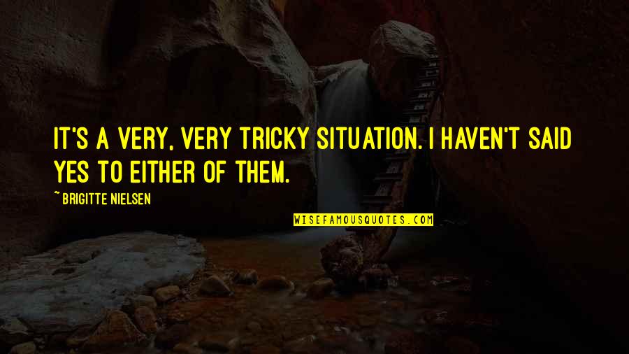 Brigitte Quotes By Brigitte Nielsen: It's a very, very tricky situation. I haven't
