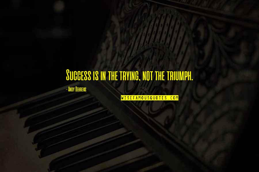 Briljant Edelsteen Quotes By Andy Behrens: Success is in the trying, not the triumph.