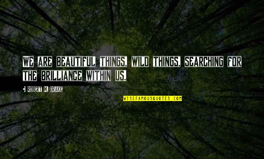 Brilliance Quotes By Robert M. Drake: We are beautiful things, wild things, searching for