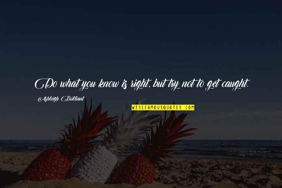Brilliant Quotes By Ashleigh Brilliant: Do what you know is right, but try